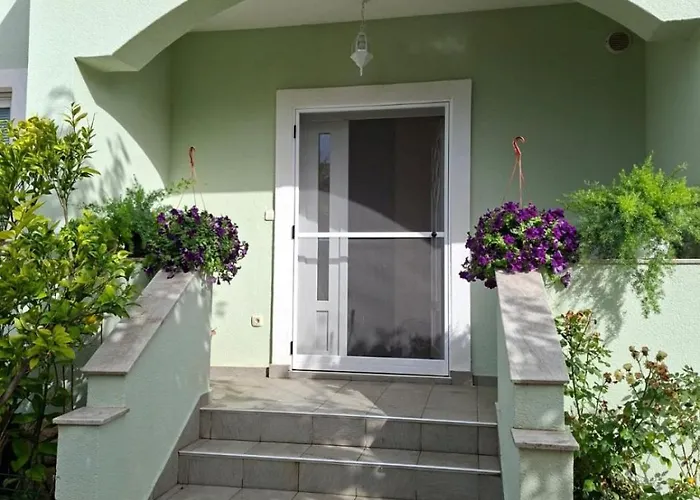 5239-1 In 普利拉卡